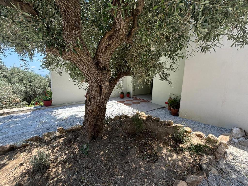 Tierra Villa İskados Dış mekan fotoğraf